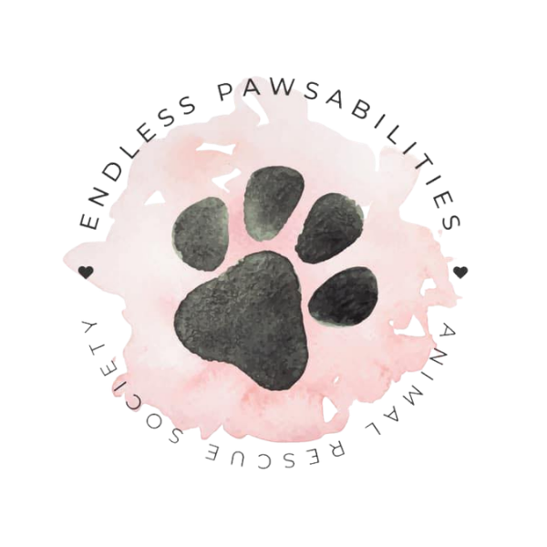 K9Run_EndlessPawsabilities_Logo